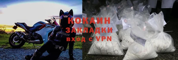 дживик Бородино