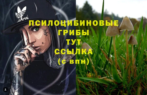COCAINE Баксан