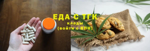 дживик Бородино
