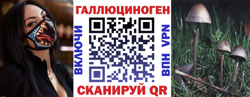 Псилоцибиновые грибы прущие грибы Купить где Ярославль